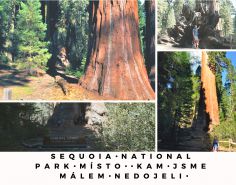 Sequoia National Park, místo kam jsme málem nedojeli