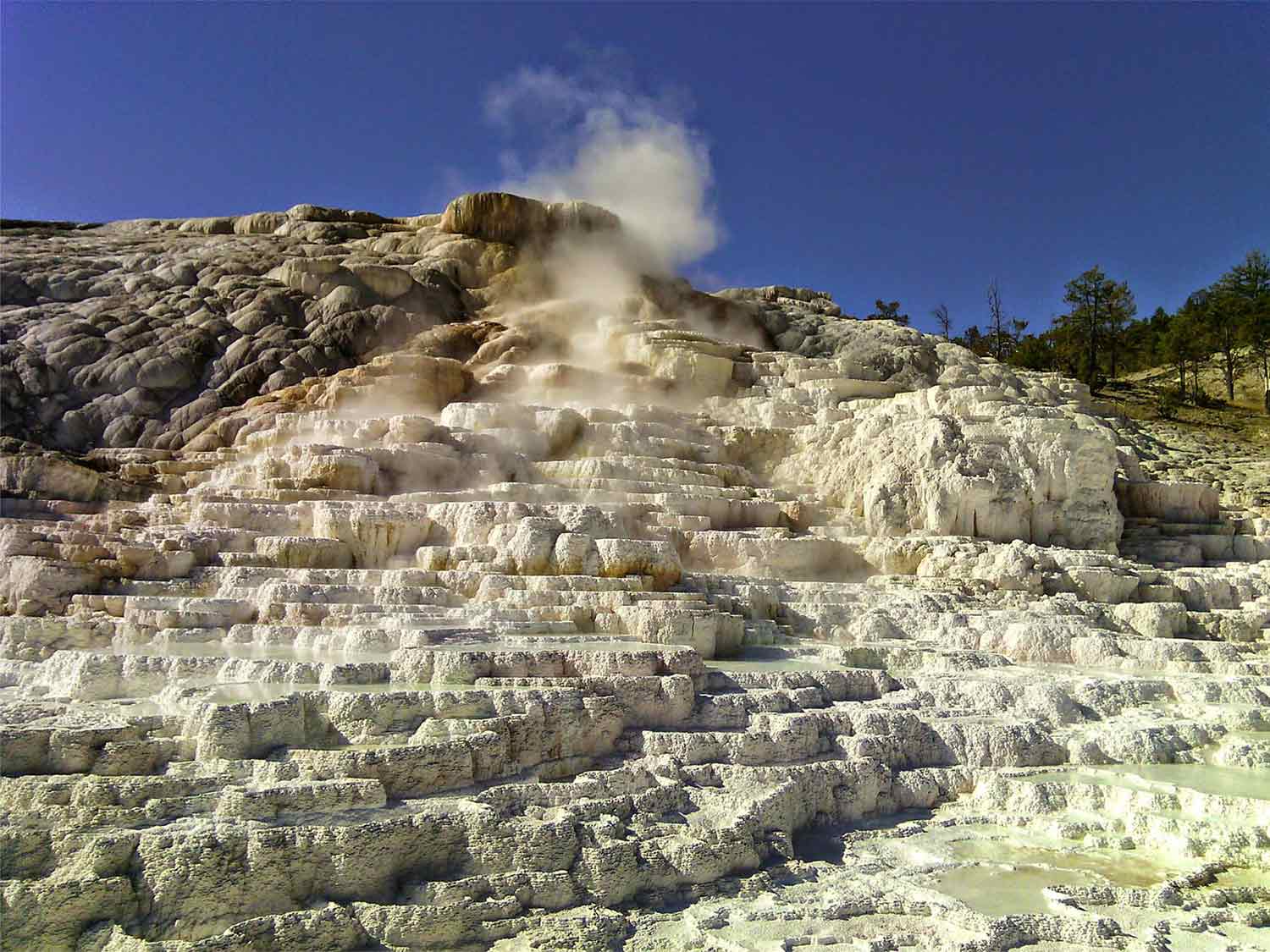 USA, Montana, Yellowstone, Mammoth Hot Springs